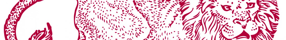 Lyon Strategies, LLC